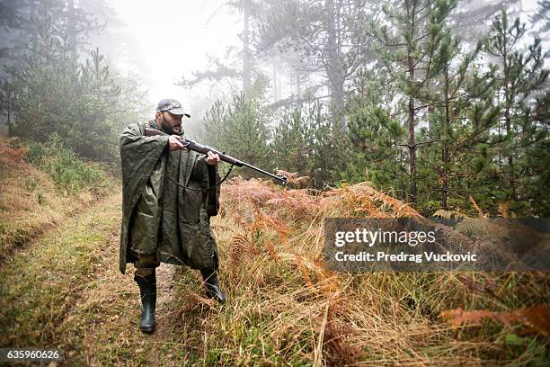 hunter stalking his prey - stalking animal hunting stockfoto's en -beelden