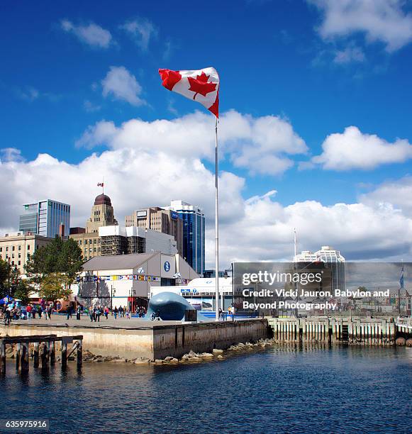 halifax wharf on a beautiful fall day, nova scotia canada - halifax regional municipality nova scotia stockfoto's en -beelden