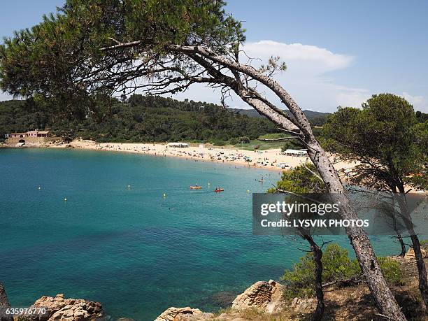 nice and quiet sandy beach in palamos - baix empordà foto e immagini stock