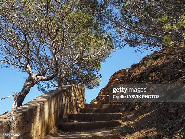 narrow footpath along the coast of begur - baix empordà foto e immagini stock