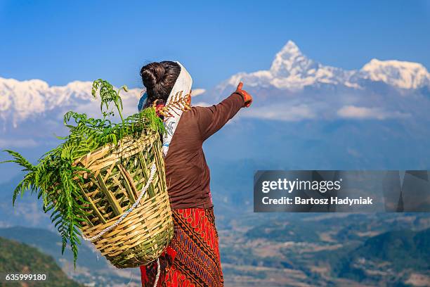 nepali woman pointing at machapuchare, pokhara, nepal - annapurna beschermd gebied stockfoto's en -beelden