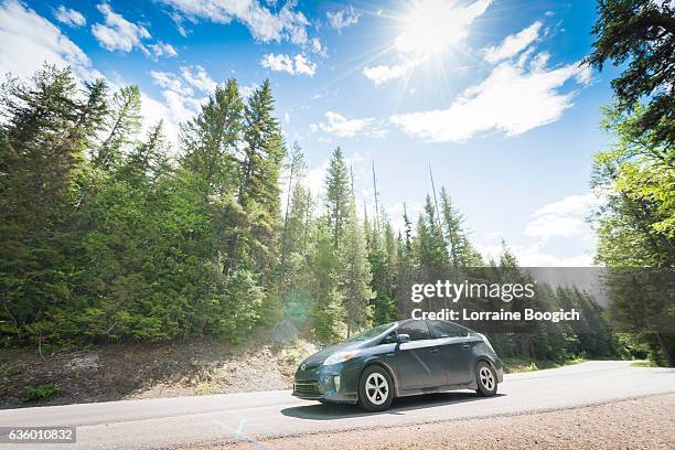 toyota prius hybrid car on road trip glacier national park - toyota prius stock pictures, royalty-free photos & images