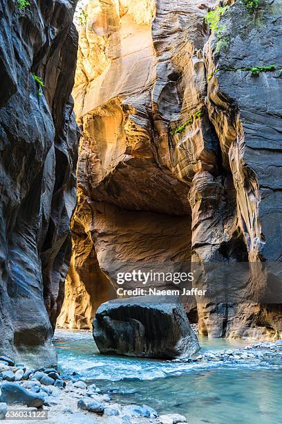 the narrows - estrechos de zion fotografías e imágenes de stock