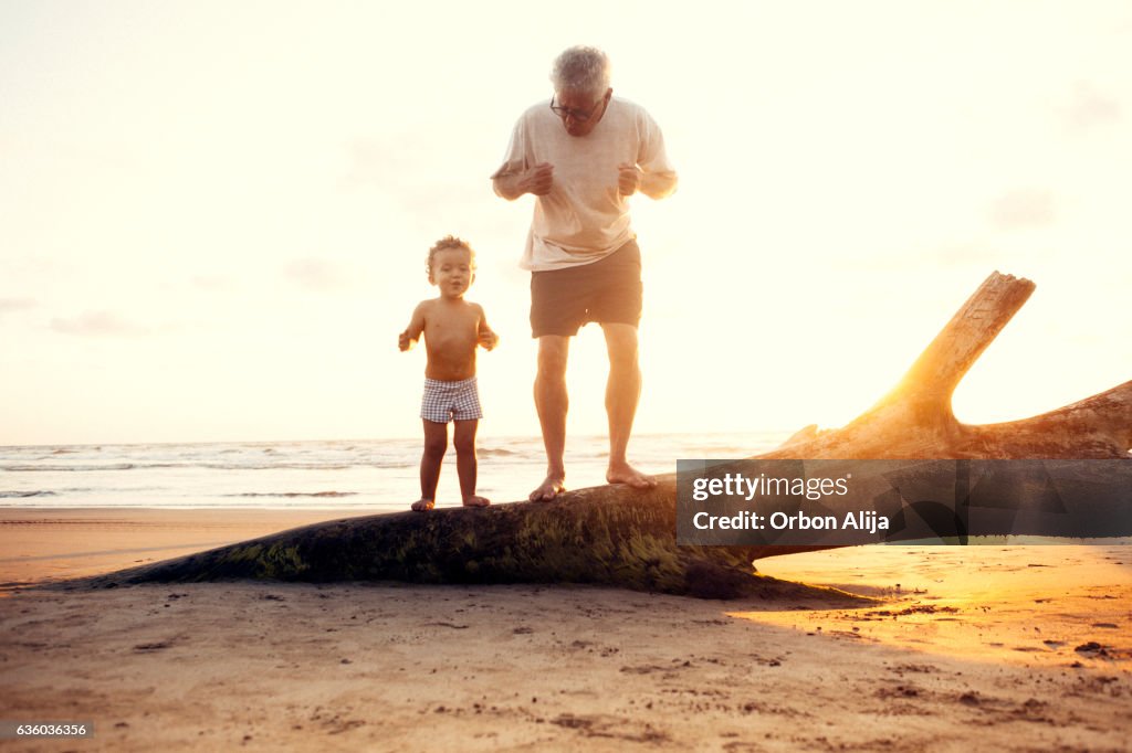 Grandfather and grandson in the beach