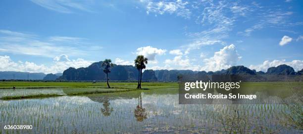 rammang rammang karst mountain, sulawesi, indonesia - celebes stock pictures, royalty-free photos & images