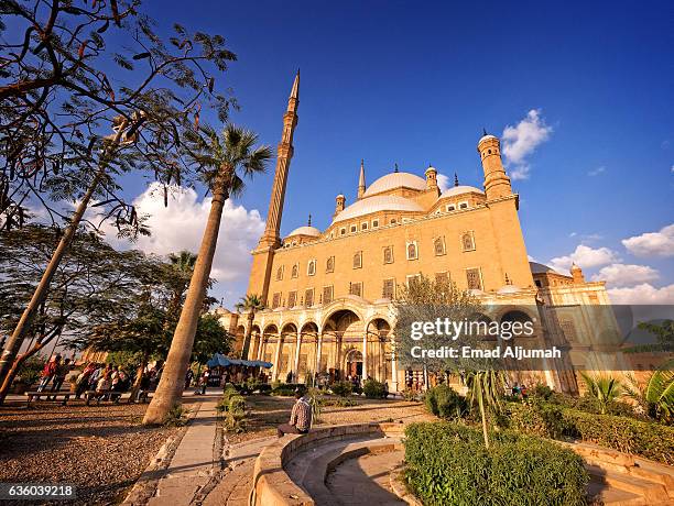 Ali R R 174 Muhammad Ali Dynasty Stock Photos, High-Res Pictures, and Images ...