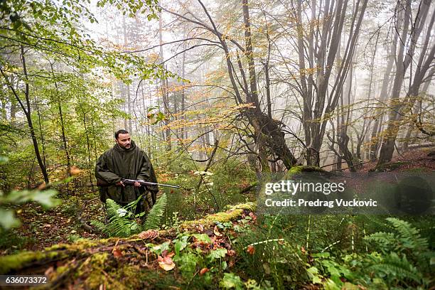 hunter with rifle stalking his prey - leaf on roof stockfoto's en -beelden