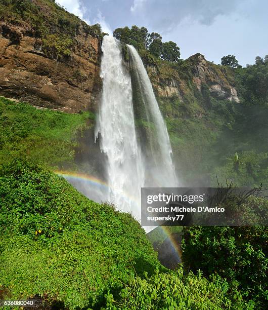 upper sipi waterfall, surrounded by lush rainforest vegetation. - sipi falls stock-fotos und bilder