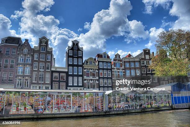 flower market in the singel canal - amsterdam - singel stock-fotos und bilder