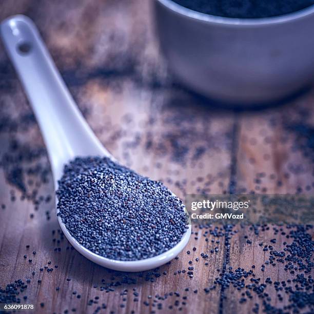 superfood blau mohn auf hölzernen hintergrund - poppy seed stock-fotos und bilder