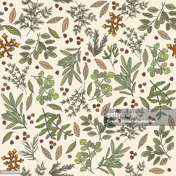 doodled herbs and spices seamless repeating pattern - herb leaves stock illustrations