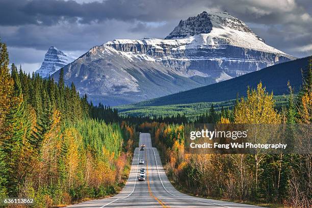 autumn drive in canadian rockies,  icefields parkway, alberta, canada - banff canada stock pictures, royalty-free photos & images