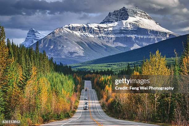 autumn drive in canadian rockies,  icefields parkway, alberta, canada - canadian rockies 個照片及圖片檔