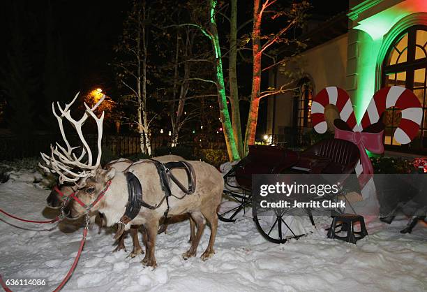 View of reindeer at the Victorino Noval Foundation Christmas Party on December 17, 2016 in Beverly Hills, California.