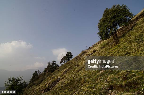 Chopta Valley and Trek Path To Tunganath Temple and Village. Near Kedarnath. Panch Kedar. Garhwal Himlayas. Uttarakhand.