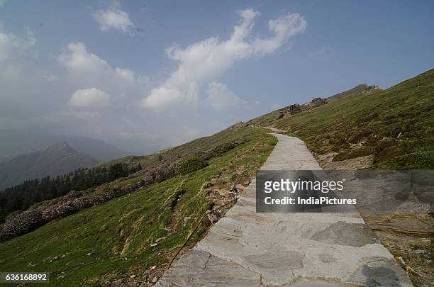 Chopta valley and Trek path to Tunganath Temple and village. Near Kedarnath. Panch Kedar. Garhwal Himlayas. Uttarakhand.