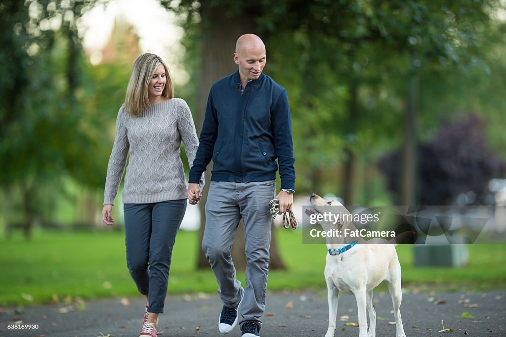 Adult couple walking their dog in the park at sunset