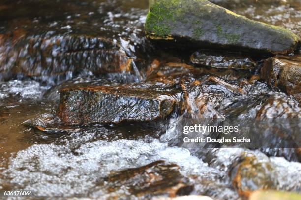 Spring Water From Rocks Spring Water Rocks Photos and Premium High Res Pictures - Getty Images