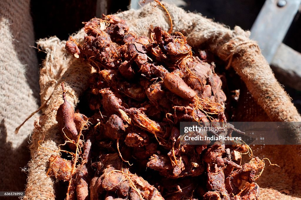 Tamarind for sale at market