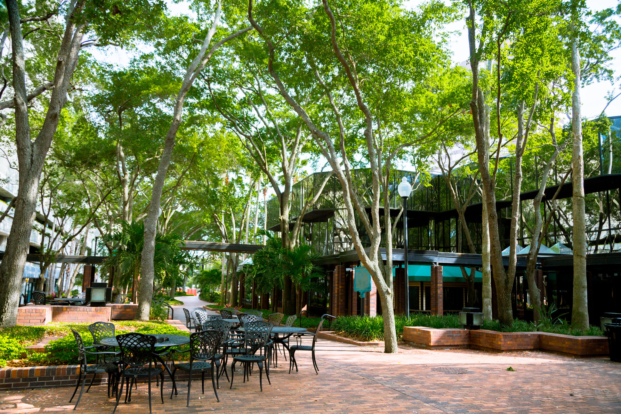 tampa summer patio