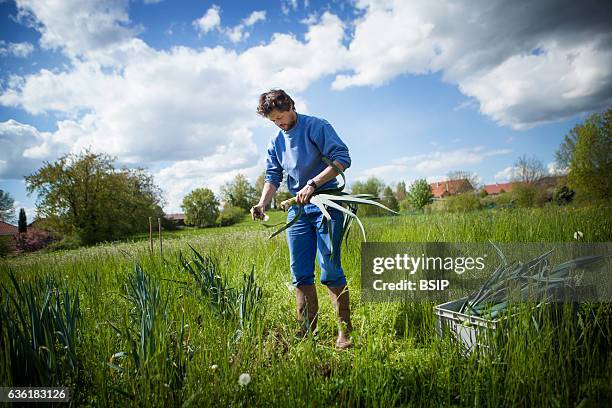 Reportage on organic producers working using a community-shared agriculture model in Haute-Savoie, France. R_mi has been an organic fruit and...