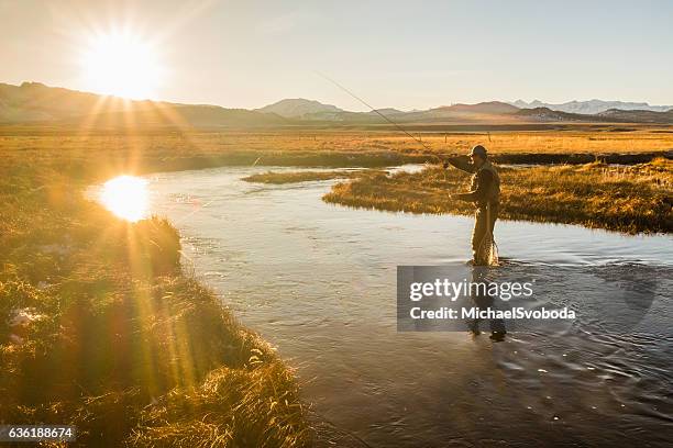 fly fisherman on the river casting - fliegenfischen stock-fotos und bilder