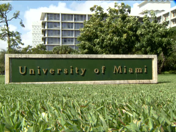 432 University Of Miami Stock Videos, Footage, & 4K Video Clips - Getty ...