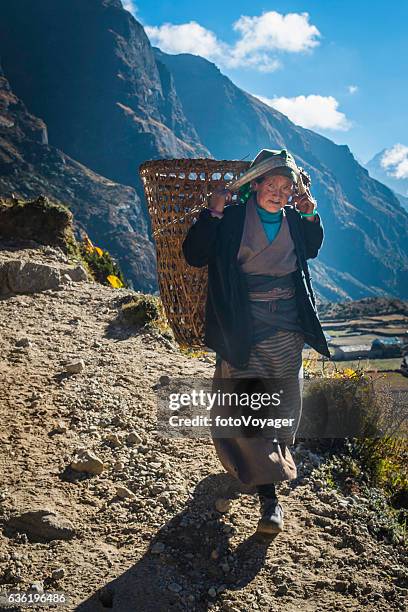 senior sherpa woman carrying bamboo basket himalaya mountain trail nepal - namche bazaar stock pictures, royalty-free photos & images