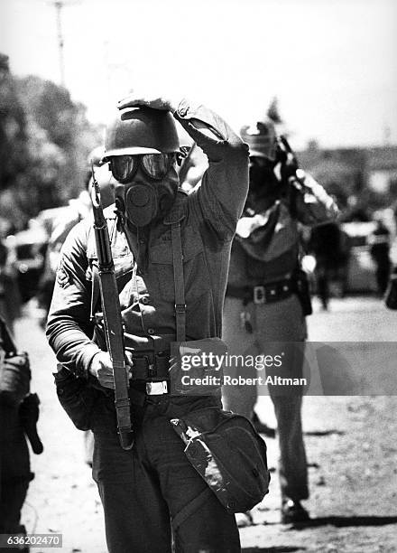 Armed guards wearing gas masks fire tear gas at protesters after the California Highway Patrol and Berkeley police officers destroyed trees, flowers...