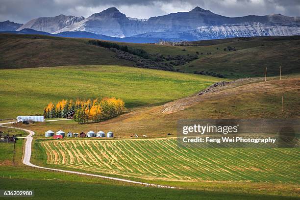 autumn scenery, long view, alberta, canada - alberta farm scene stockfoto's en -beelden