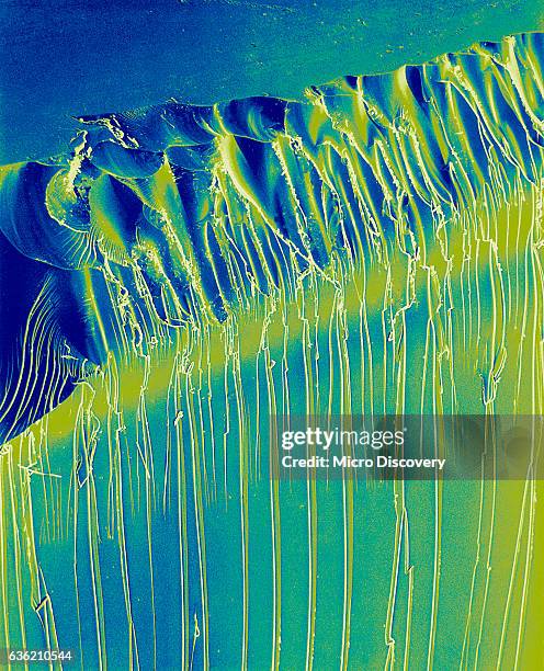 Exploded Microscope 138 Broken Microscope Stock Photos, High-Res Pictures, and Images ...
