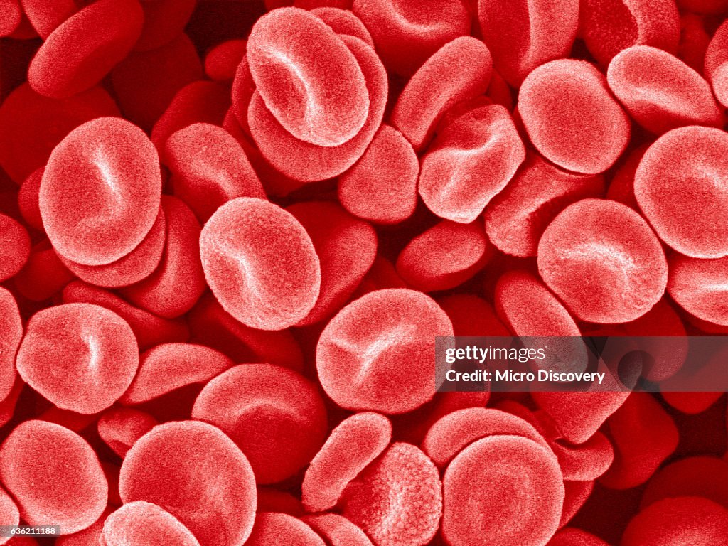 Human Red blood cells