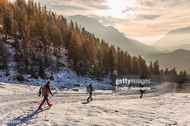 wanderer wandern auf schneebedeckter straße im hochgebirgswald - engadin stock-fotos und bilder