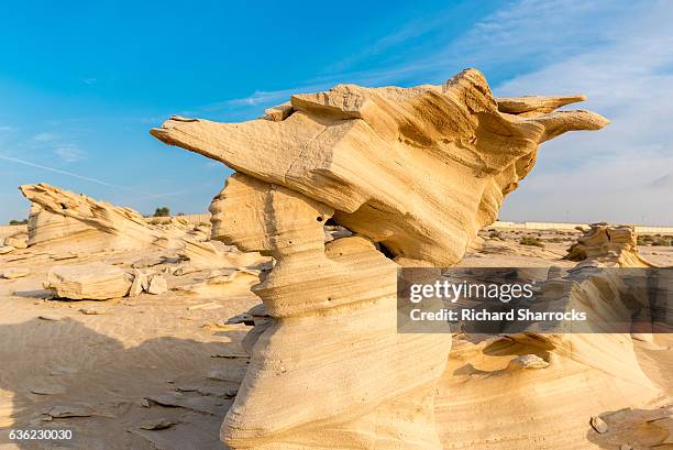 fossil dunes, al wathba, abu dhabi - arabian resto foto e immagini stock