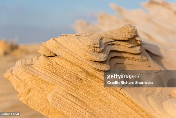 fossil dunes, al wathba, abu dhabi - arabian resto foto e immagini stock