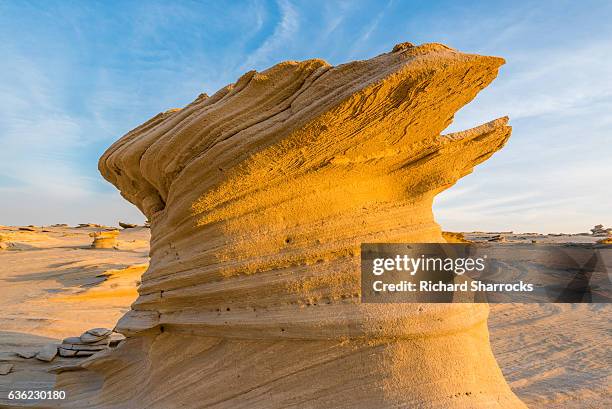 fossil dunes, al wathba, abu dhabi - arabian resto foto e immagini stock