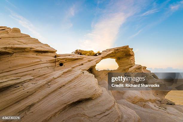 fossil dunes, al wathba, abu dhabi - arabian resto foto e immagini stock