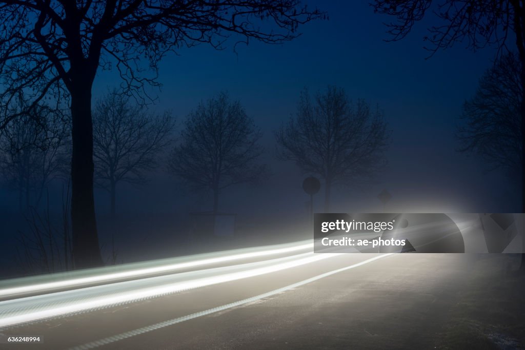 Silhouettes of trees and vehicle light trails at dawn