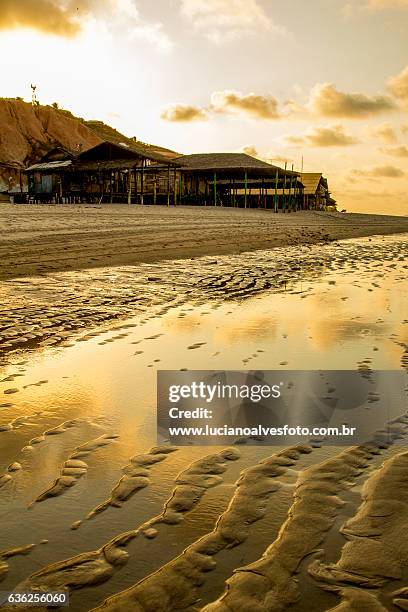 relaxing brazilian beach - canoa quebrada stock pictures, royalty-free photos & images