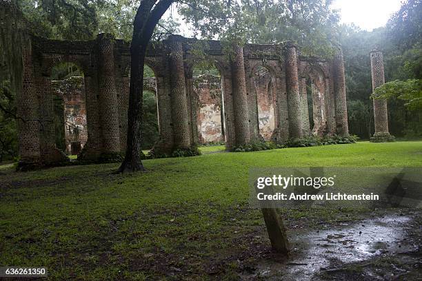 Sheldon Sc 1,613 Sheldon South Stock Photos, High-Res Pictures, and Images - Getty ...