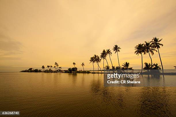 sunset at kerala backwater, alleppey, kerala, india. - laguna de kerala - fotografias e filmes do acervo