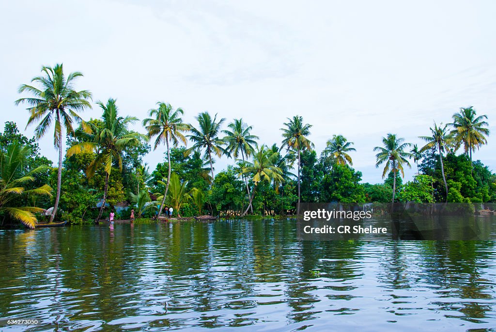 Kerala backwater major tourist attraction, Alleppey, Kerala, India.