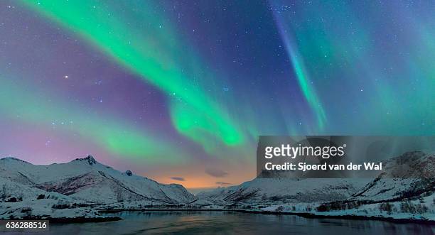northern lights over the lofoten islands in norway - north stock pictures, royalty-free photos & images