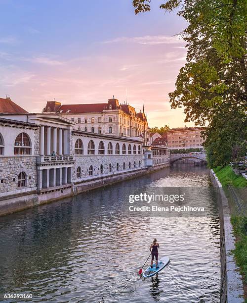 paddling through ljubljanica - lubiana foto e immagini stock