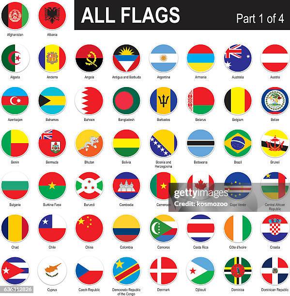 bildbanksillustrationer, clip art samt tecknat material och ikoner med all world flags - kamerun