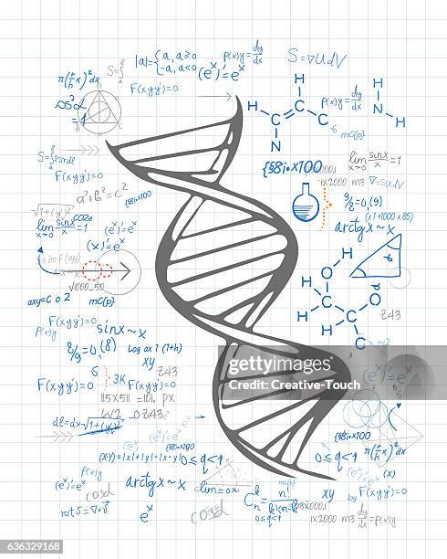 Dna Drawing.pdf Dna Scientific Drawing Photos and Premium High Res Pictures - Getty Images