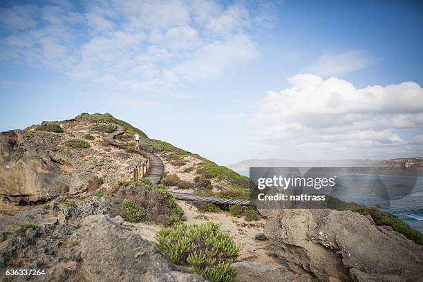 laufen der gratlinie in der nähe des meeres - knysna stock-fotos und bilder