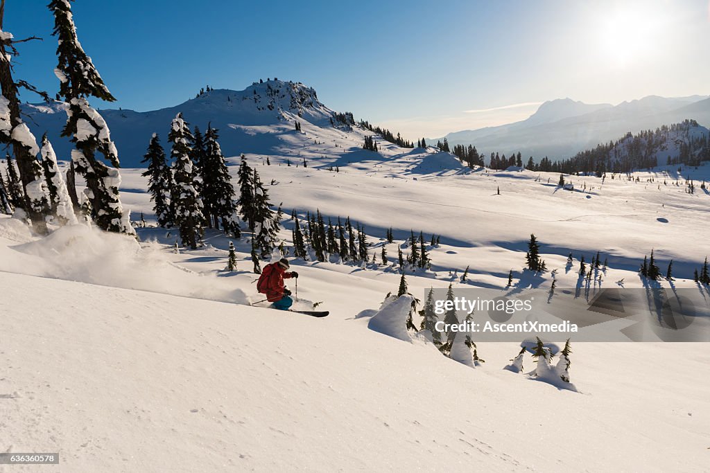 Powder skiing in the backcountry