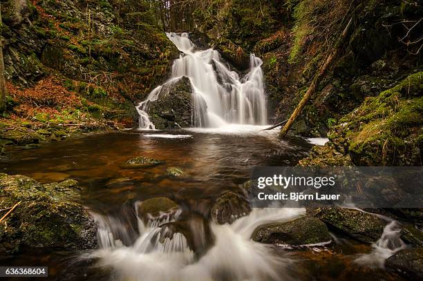 falkau cascade in black forest - lauer stock pictures, royalty-free photos & images