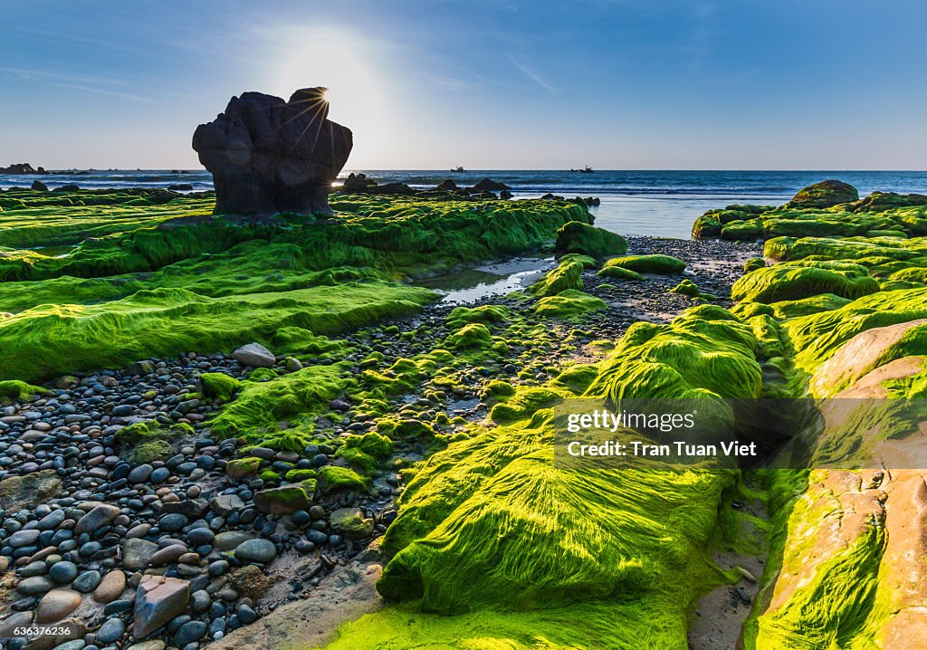 Vietnam beach - Co Thach landscape photo
